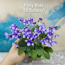 Pony Ride (S.Sorano)