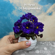 Н-Чуча (Н.Бердникова)