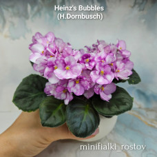 Heinz's Bubbles (H.Dornbusch) Heinz's Bubbles (H.Dornbusch)