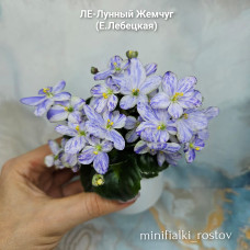 ЛЕ-Лунный Жемчуг (Е.Лебецкая) ЛЕ-Лунный Жемчуг (Е.Лебецкая)