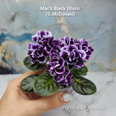 Mac's Black Uhuru (G.McDonald) Mac's Black Uhuru (G.McDonald)