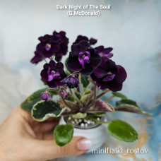 Dark Night Of The Soul (G.McDonald) Dark Night Of The Soul (G.McDonald)