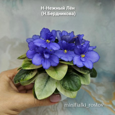 Н-Нежный Лён (Н.Бердникова) Н-Нежный Лён (Н.Бердникова)