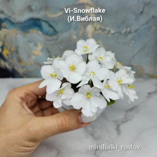 Vi-Snowflake (И.Виблая) 