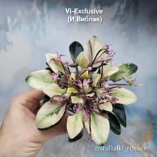 Vi-Exclusive (И.Виблая) Vi-Exclusive (И.Виблая)