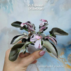 Vi-Торнадо (И.Виблая)