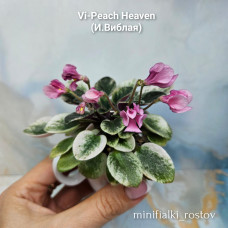 Vi-Peach Heaven (И.Виблая) 