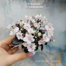 Н-Карелия (Н.Бердникова) Н-Карелия (Н.Бердникова)