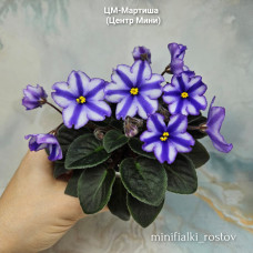 ЦМ-Мартиша (Центр Мини) ЦМ-Мартиша (Центр Мини)