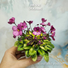 НК-Viki (Н.Козак) НК-Viki (Н.Козак)