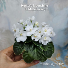 Hunter's Moonshine (K.Muzalewski) Hunter's Moonshine (K.Muzalewski)