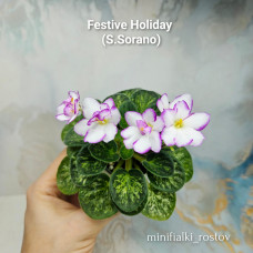 Festive Holiday           (S.Sorano)