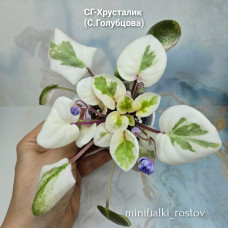 СГ-Хрусталик (С.Голубцова) СГ-Хрусталик (С.Голубцова)