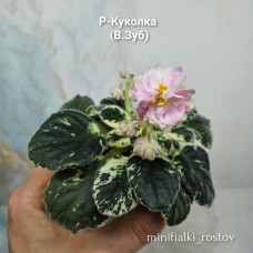 Р-Куколка (В.Зуб) Р-Куколка (В.Зуб)