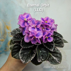 Eternal Orbit (LLG) 