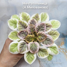 Мечтательница (А.Милованова)