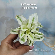 ВаТ-Апрель (Т.Валькова) ВаТ-Апрель (Т.Валькова)