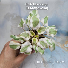 ОлА-Шутница (О.Агафонова)