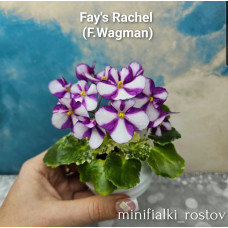 Fay's Rachel (F.Wagman)