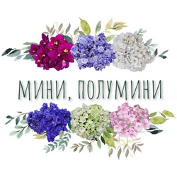 Мини и полумини