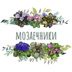 Мозаечники